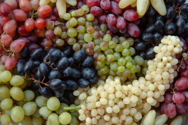 Exploring the Different Varieties of Grapes: A Comprehensive Guide