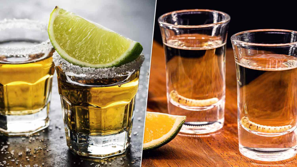 Tequila vs. Mezcal Understanding the Differences and Similarities