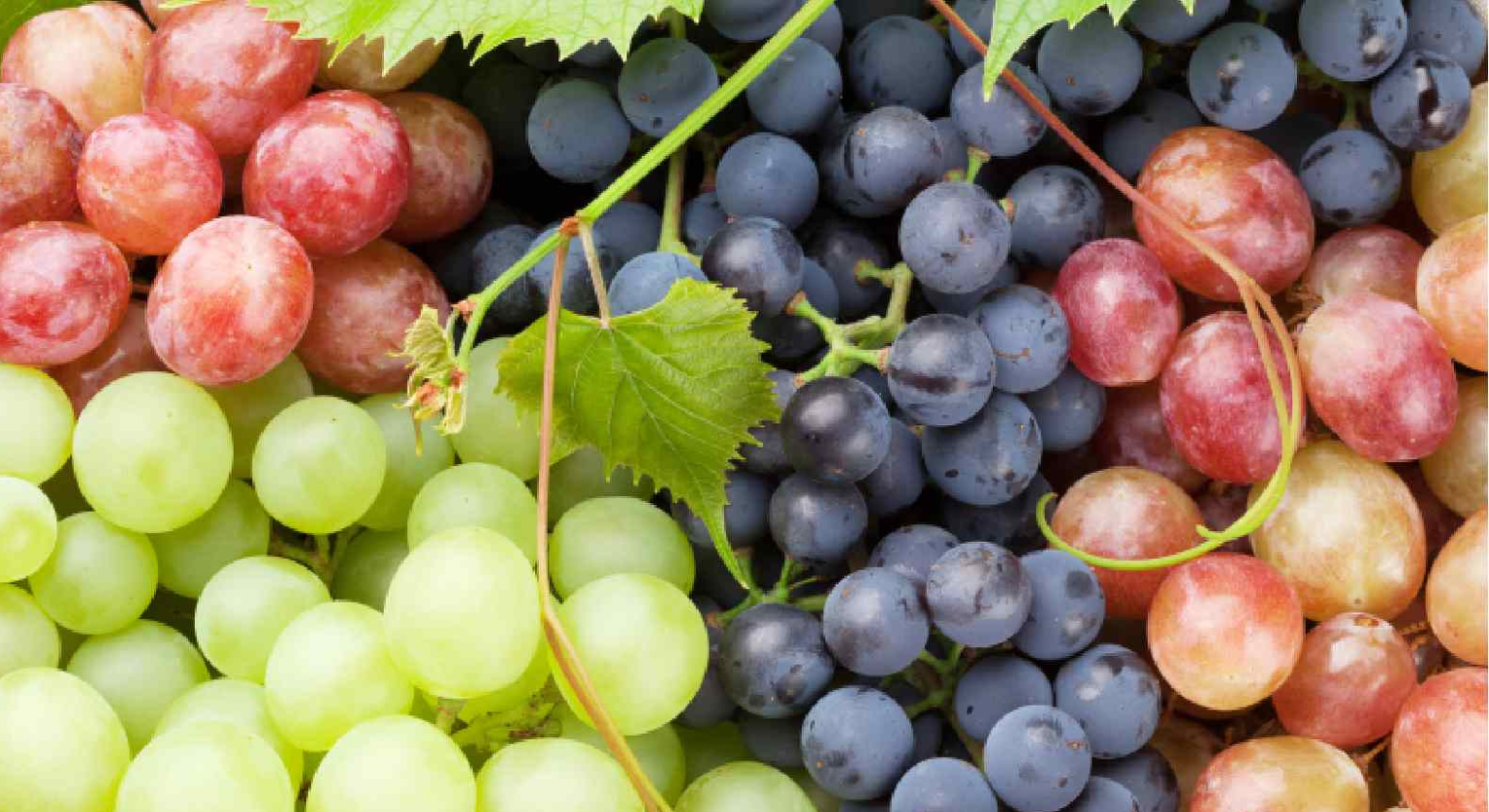 The Power of Grapes Boost Your Immune System with These 5 Benefits