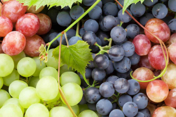The Power of Grapes: Boost Your Immune System with These 5 Benefits
