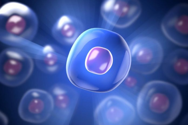 Boost Your Fertility: 7 Powerful Foods to Enhance Ovum Quality