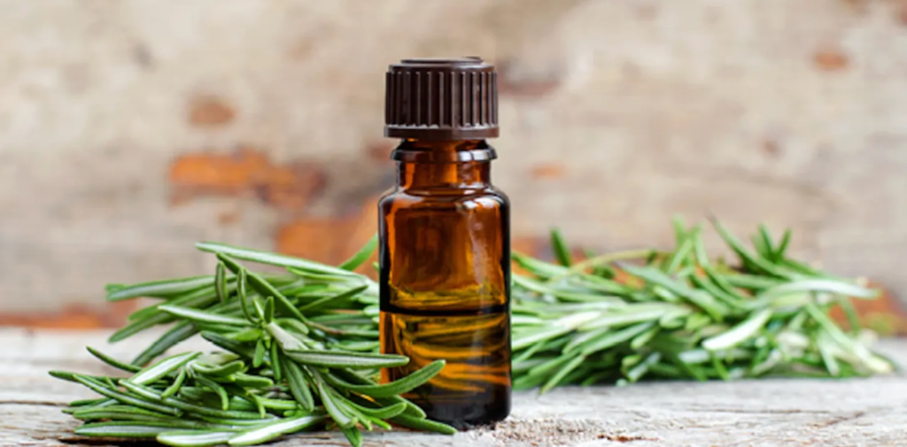 The Ultimate Guide to Rosemary Oil Benefits, Uses, and Tips AskMeAll