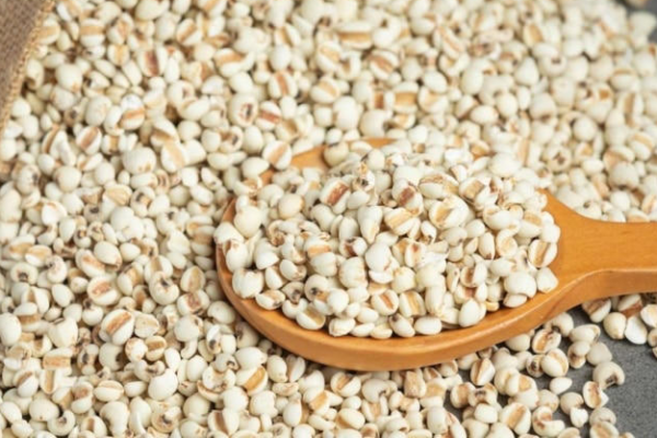The Benefits of Adding Sorghum Millet to Your Diet The Benefits of Adding Sorghum Millet to Your Diet