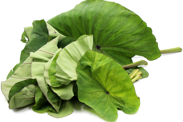 Taro Leaves: A Hidden Gem in the Culinary World