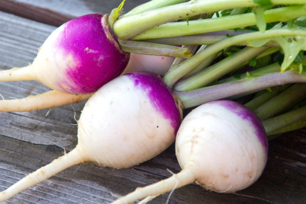 Turnips as a Superfood for Diabetes: Understanding the Nutritional Value