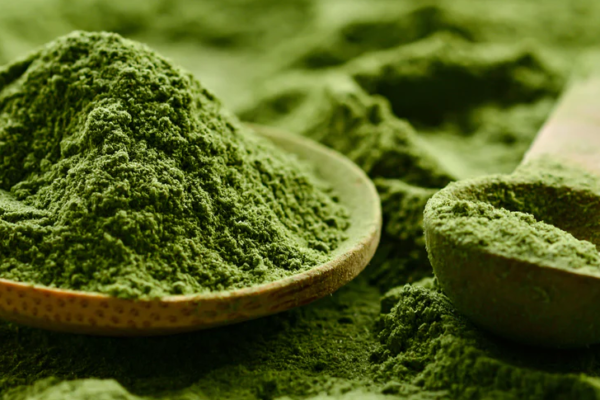 The Benefits of Chlorella: A Comprehensive Guide The Benefits of Chlorella: A Comprehensive Guide