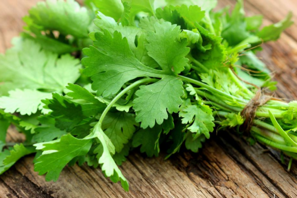 10 Foods that Naturally Detox Heavy Metals in your Body 10 Foods that Naturally Detox Heavy Metals in your Body