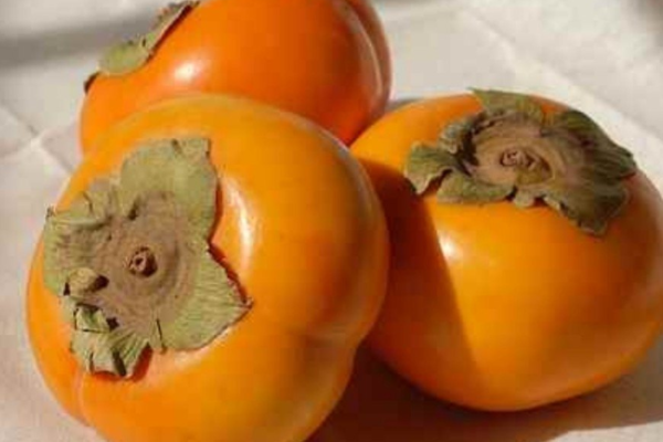 Persimmon Fruit: A Natural Remedy for Digestive Health and Weight Management Persimmon Fruit: A Natural Remedy for Digestive Health and Weight Management