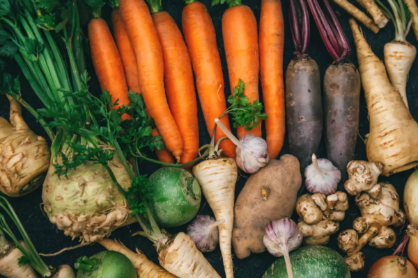 The Nutritional Powerhouses: 5 Root Vegetables You Should Include in Your Diet The Nutritional Powerhouses: 5 Root Vegetables You Should Include in Your Diet