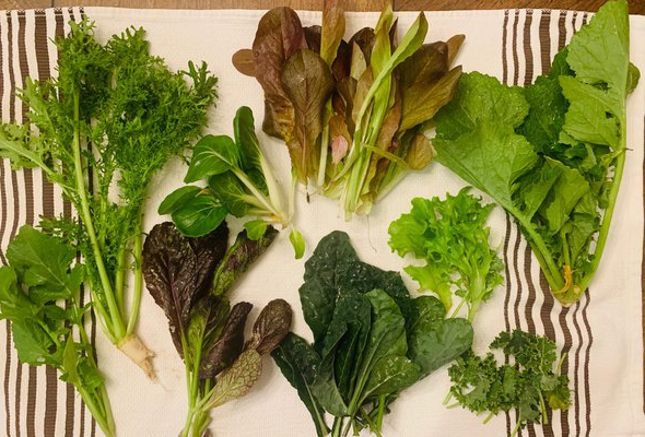 10 Greens That Are Better For You Than Kale 10 Greens That Are Better For You Than Kale