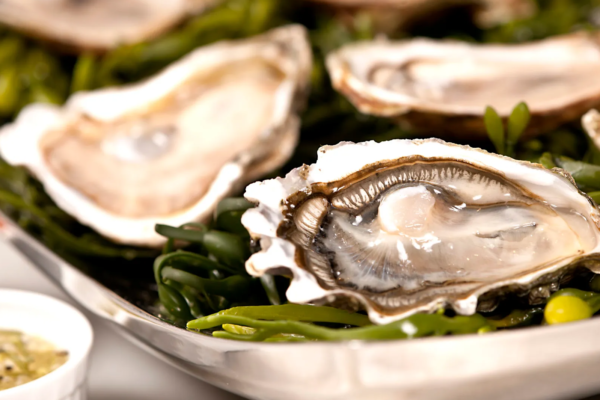 Health Benefits of Oysters: What You Need to Know Health Benefits of Oysters What You Need to Know
