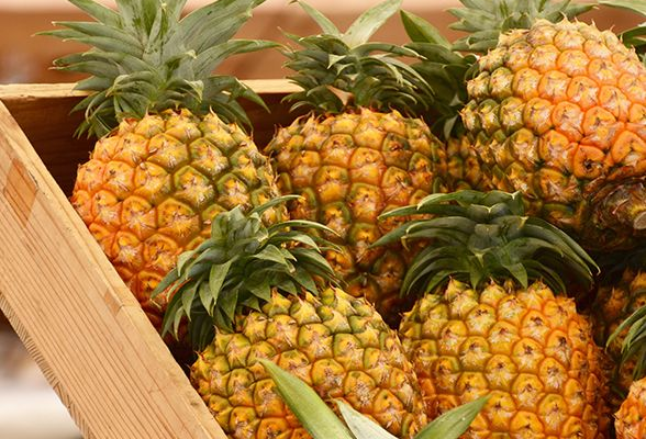 Benefits of Pineapple: Digestive Enzymes and Probiotics Abound Benefits of Pineapple Digestive Enzymes and Probiotics Abound