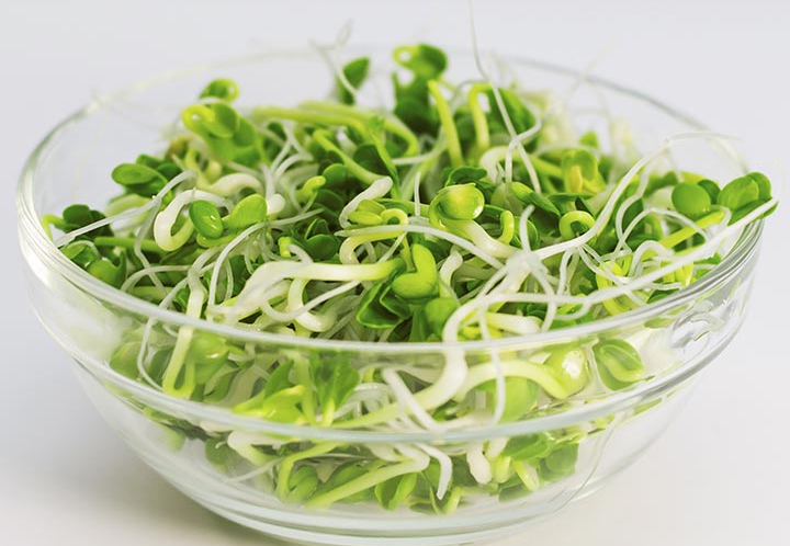 5 Impressive Benefits of Alfalfa