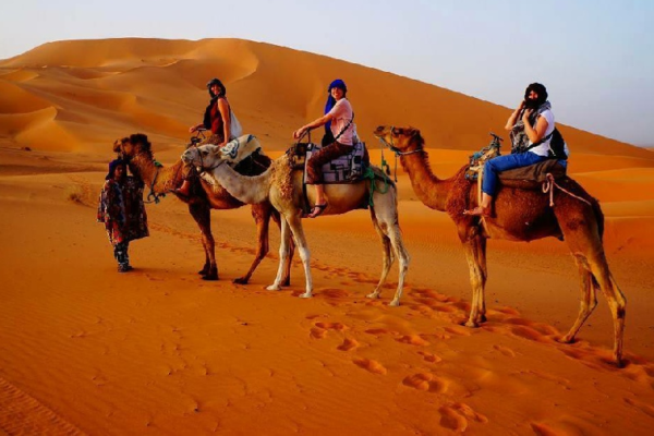 Arabian Nights Camel Trekking into the Desert