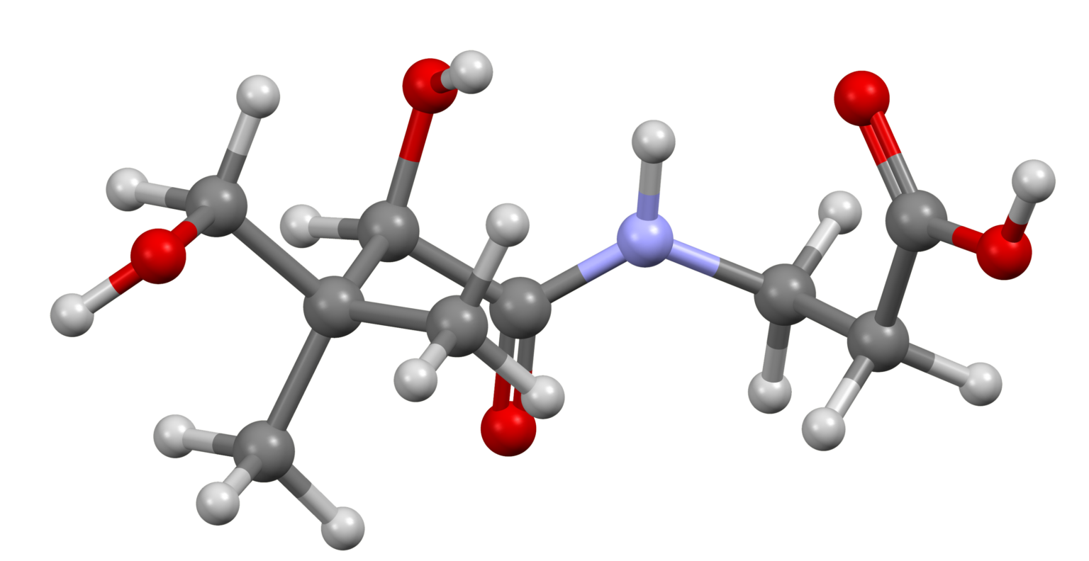 The Ultimate Guide to Vitamin B5 Benefits and Sources AskMeAll