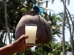 Is coconut Neera good for health?
